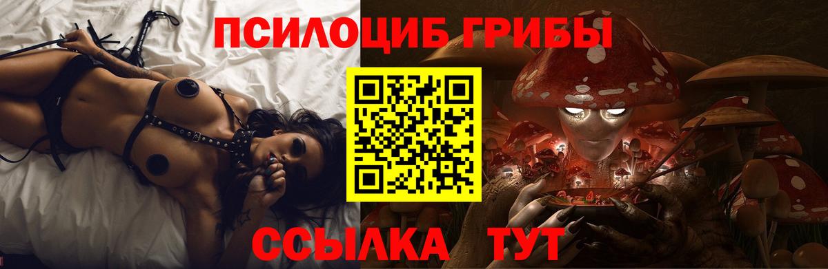 как найти закладки  Вход с VPN  Жуковский  Псилоцибиновые грибы ЛСД  Псилоцибиновые грибы мухоморы 